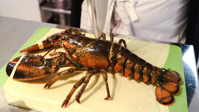 Fresh Lobster